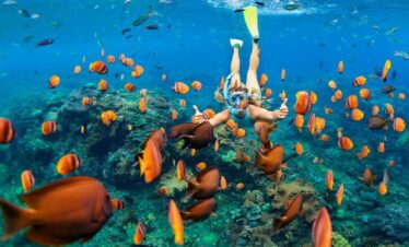 snorkelling